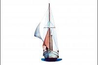 Francesco Cafiso, Irene of Boston, il nuovo singolo! Francesco Cafiso, Irene of Boston, il nuovo singolo!